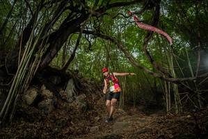 BIB: 
                            <button type="button" onclick="openModal(22177796)" class="btn btn-primary btn-sm float-right btn-popup" data-toggle="modal" data-target=".modal-high-quality">
                        <i class="fas fa-shopping-cart"></i> Add to Cart
                    </button>
                                            <button type="button" onclick="isThisMe(22177796, true)" class="btn btn-success btn-sm float-right btn-popup btn-isme hidden" data-toggle="tooltip" data-placement="bottom" title="นี่คือรูปของคุณใช่ไหม คลิกที่นี่เพื่อเอาเข้าอัลบั้ม">
                        <i class="fas fa-plus"></i> Add to album
                    </button>
                    <button type="button" onclick="isThisMe(22177796, false)" class="btn btn-warning btn-sm float-right btn-popup btn-isnotme hidden">
                        <i class="fas fa-ban"></i> Remove from album
                    </button>